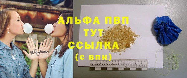 ПСИЛОЦИБИНОВЫЕ ГРИБЫ Медвежьегорск