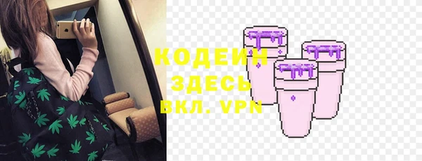 прущие грибы Мегион