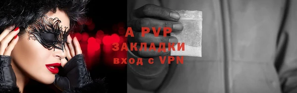 прущие грибы Мегион