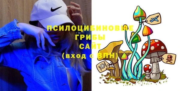 прущие грибы Мегион