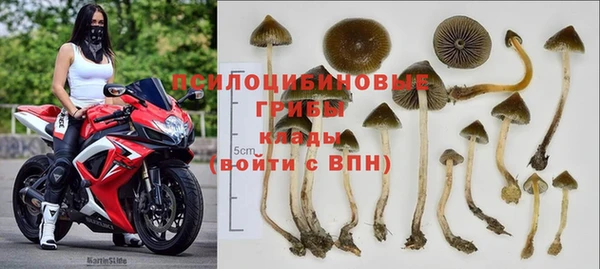 прущие грибы Мегион