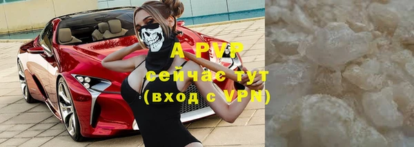 прущие грибы Мегион